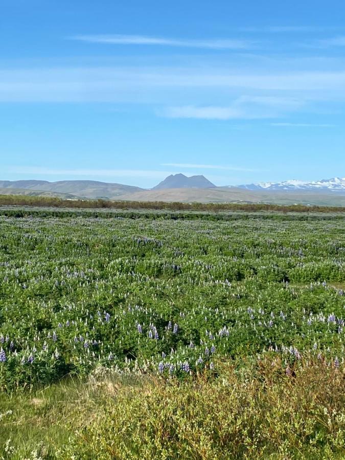 فيلا Uxahryggur Hvolsvöllur المظهر الخارجي الصورة